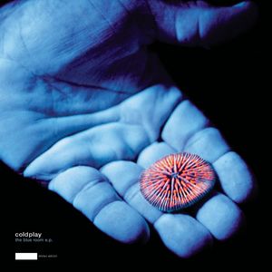 Aletta Ocean, 大战黑鬼
