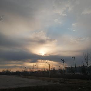 Aletta Ocean, 大战黑鬼
